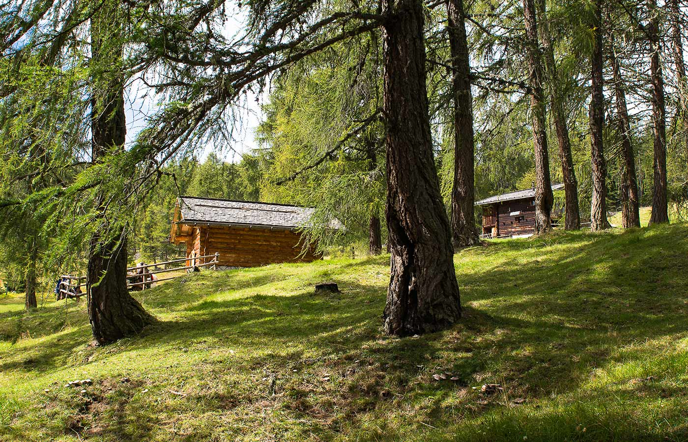 Hütten im Wald rund um Spinges im Pustertal