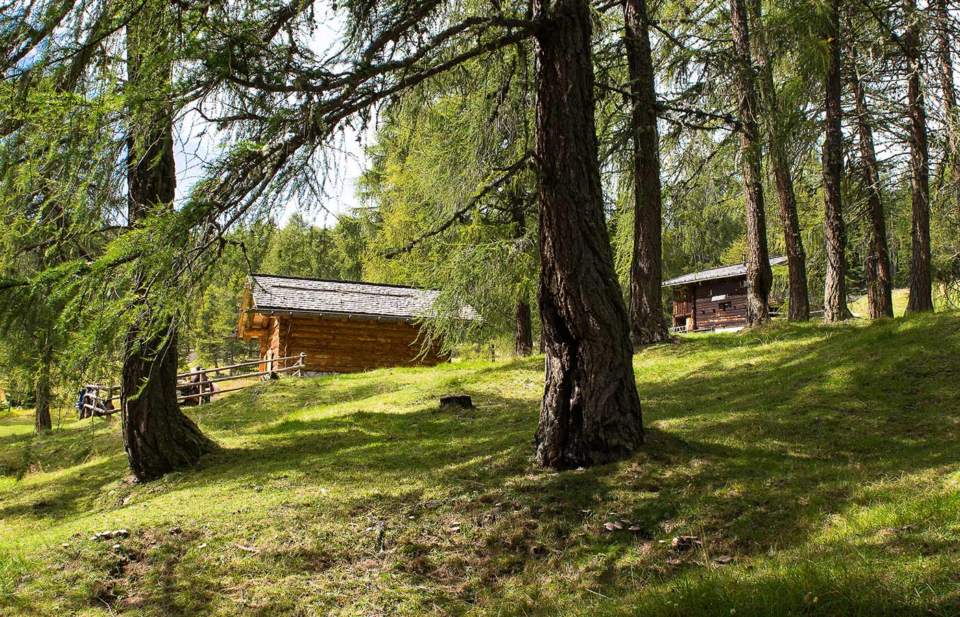 Baite nella foresta nei dintorni di Spinga in Val Pusteria