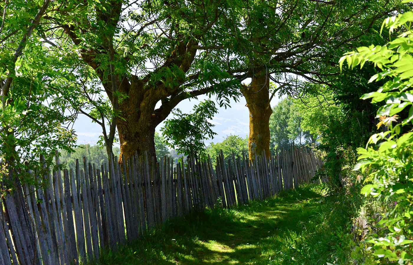 Detailaufnahme eines Zaunes auf Holz neben einem Wanderweg in den Bergen