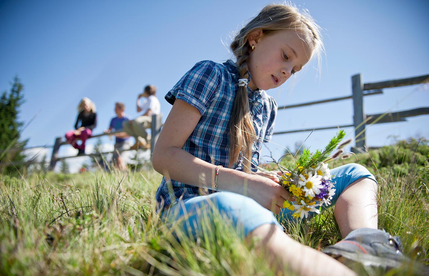 Mädchen sammelt einen Blumenstrauß auf einer Almwiese