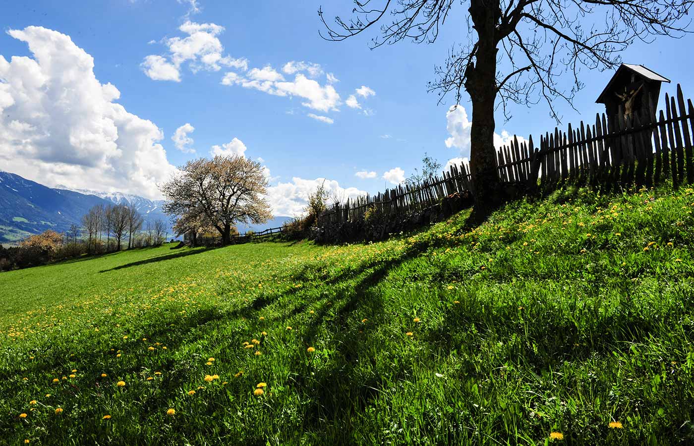 Ansicht der Wiesenlandschaften rund um den Bauernhof Brunnerhof in Spinges - Südtirol