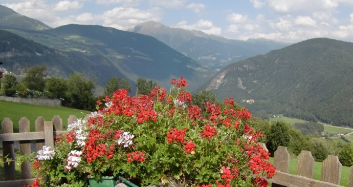 Offerta di Last-minute per conoscere Spinga