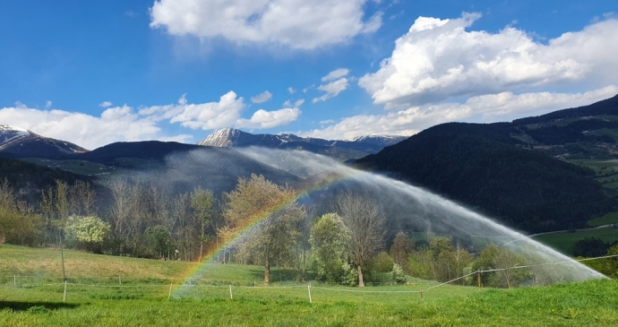 Settimana degli ospiti regolari